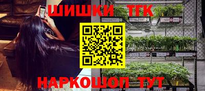 мдпв Бердск