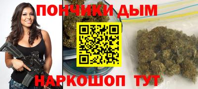 мдпв Бердск