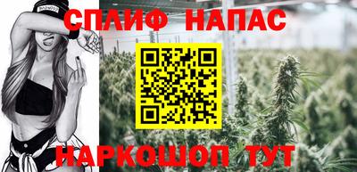 mdpv Белореченск