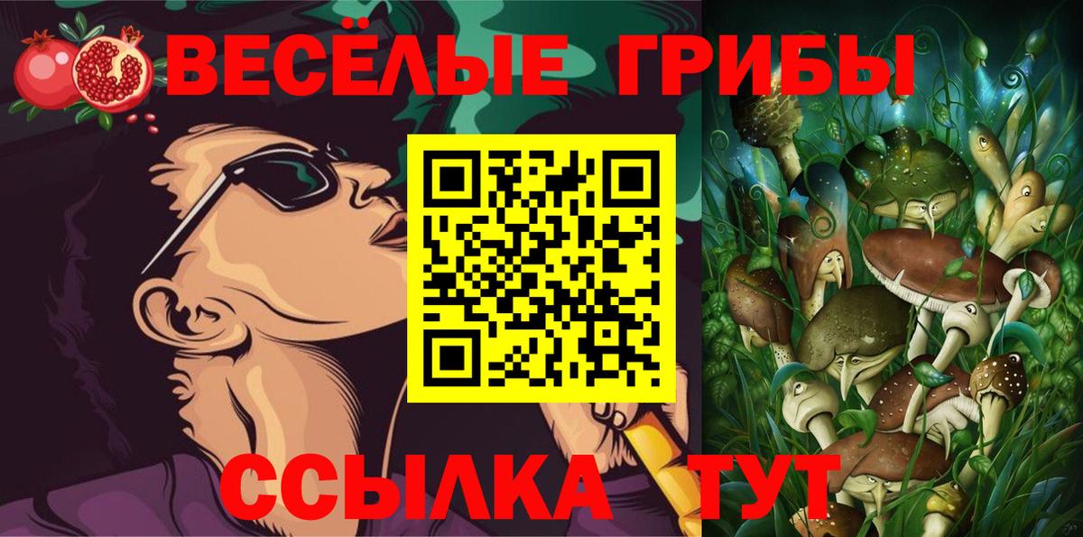Псилоцибиновые грибы Psilocybine cubensis Полевской