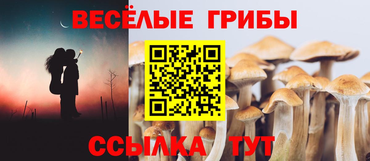 Полевской  Псилоцибиновые грибы мухоморы  Псилоцибиновые грибы Cubensis  Вход с VPN 